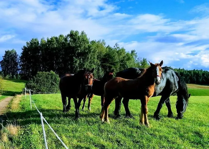 Kaszubski Horyzont *